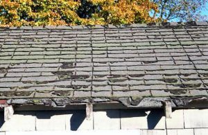 Wow! Look at this beautiful asphalt roof!